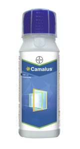 "बायर द्वारा कैमलस लॉन्च, किसानों के लिए उन्नत कीटनाशक समाधान।"