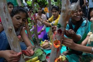पिपलांत्री गाँव में बेटियों द्वारा पौधों को राखी बांधते हुए।